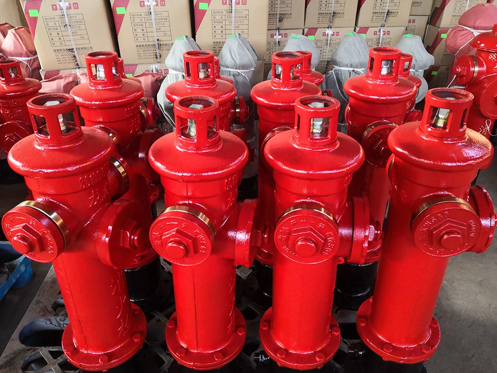 Ductile Cast Iron DN100 Bullet Head Ground Type Outdoor Fire Hydrant Valve Ss100-65-1.6-B