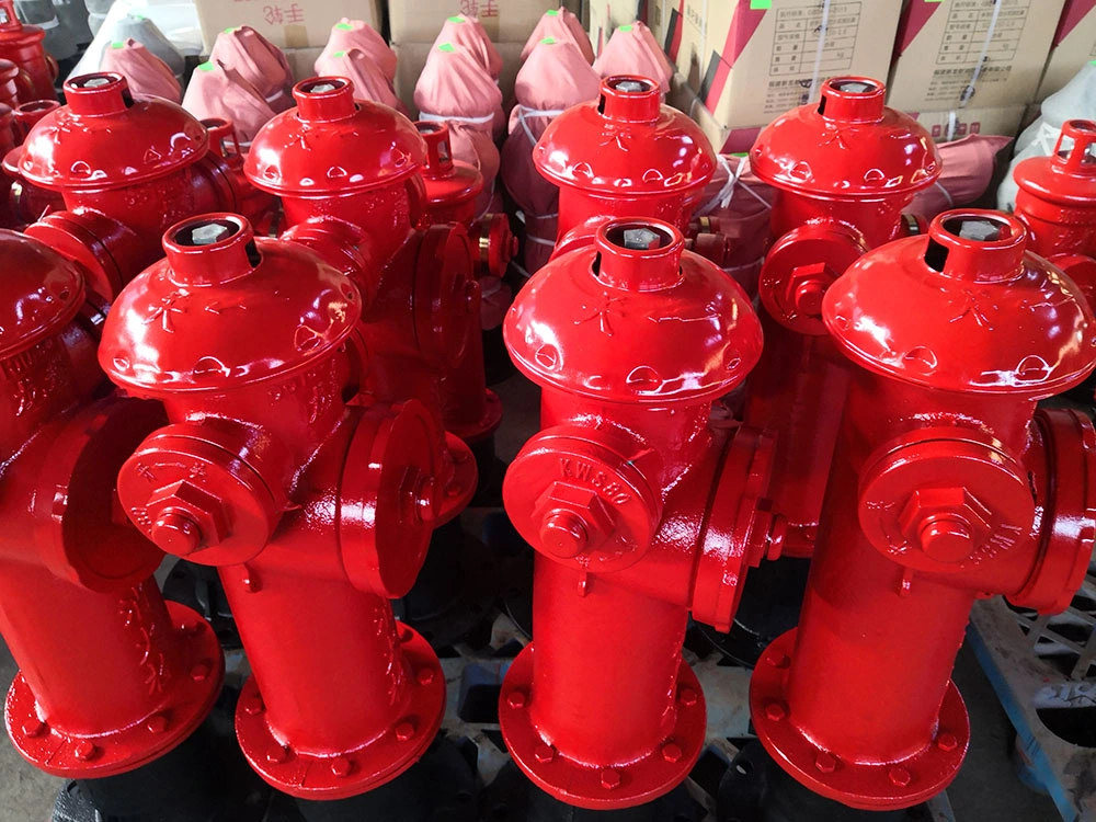 Ductile Cast Iron DN100 Bullet Head Ground Type Outdoor Fire Hydrant Valve Ss100-65-1.6-B